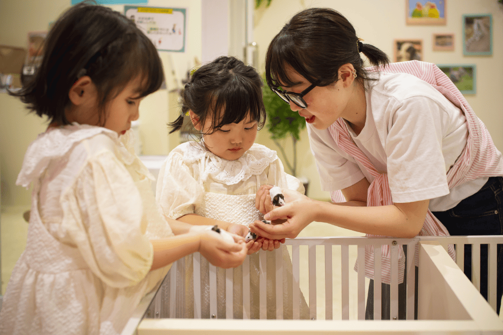 「アニタッチ ららぽーと名古屋みなとアクルス」大人気！ゼロ距離でみて、ふれられる動物たち